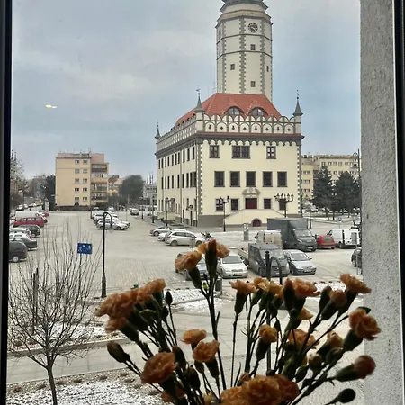 Rynek Apartment Strzelin